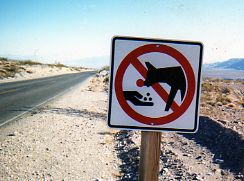 coyote sign