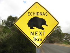 Wildlife warning: the wonderful world of Australian road signs